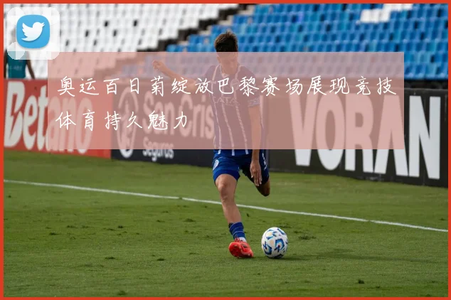奥运百日菊绽放巴黎赛场展现竞技体育持久魅力