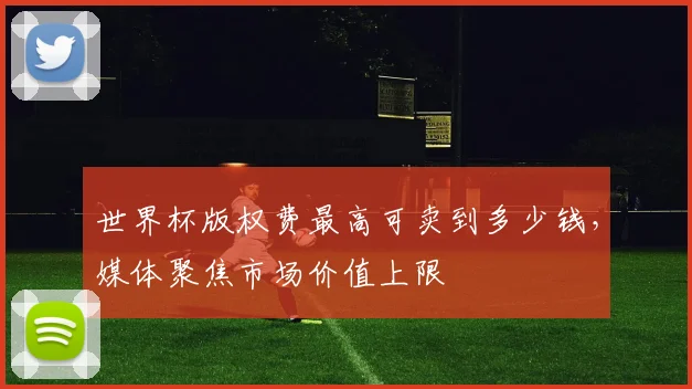 世界杯版权费最高可卖到多少钱,媒体聚焦市场价值上限