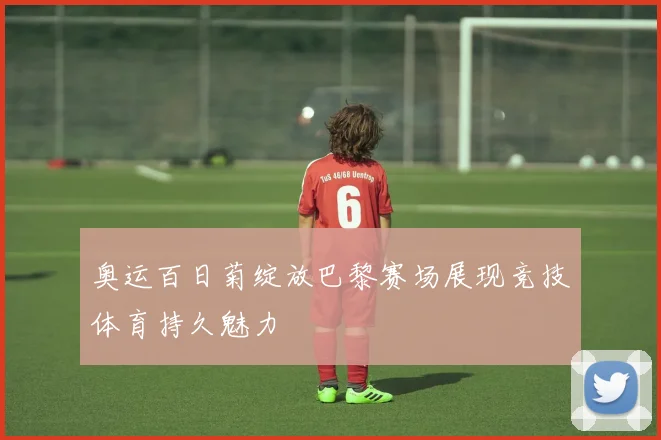 奥运百日菊绽放巴黎赛场展现竞技体育持久魅力