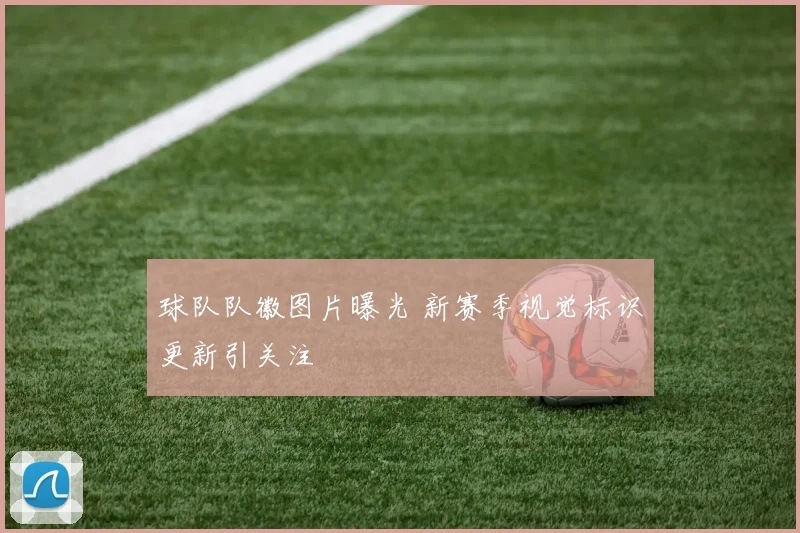 球队队徽图片曝光 新赛季视觉标识更新引关注