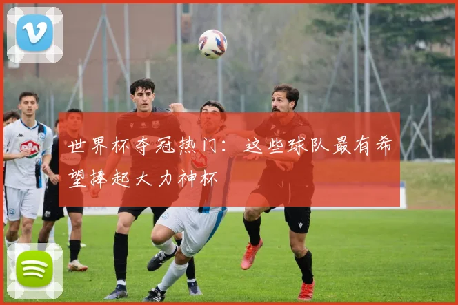 世界杯夺冠热门:这些球队最有希望捧起大力神杯