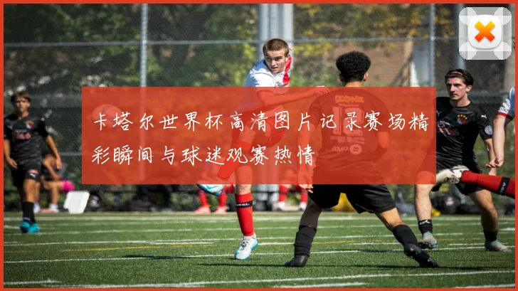 卡塔尔世界杯高清图片记录赛场精彩瞬间与球迷观赛热情